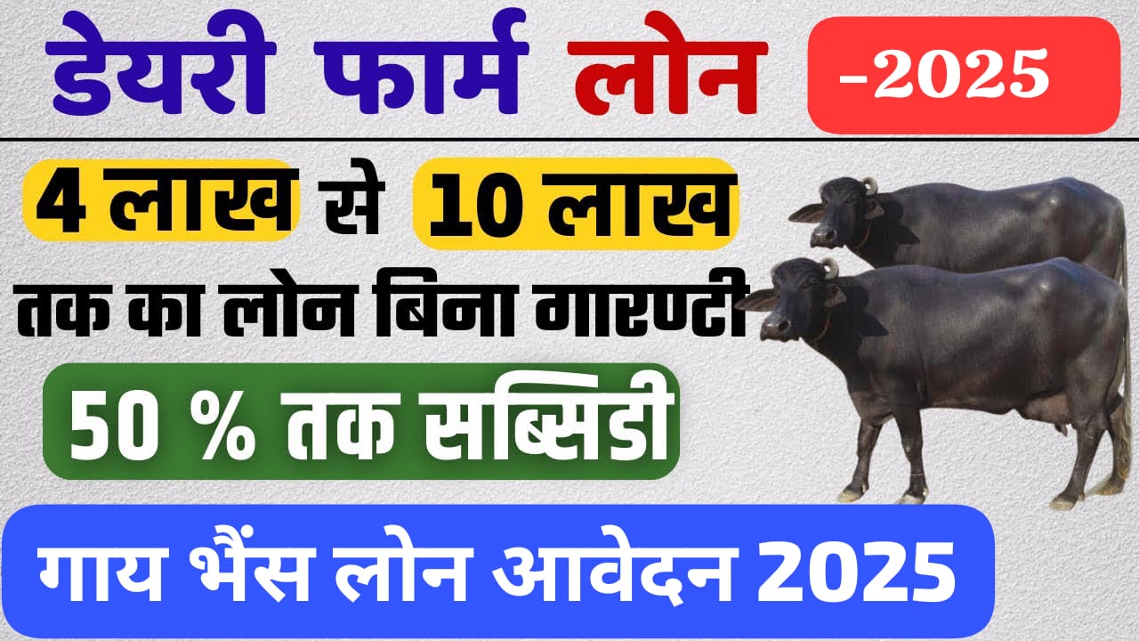 नाबार्ड पशुपालन डेयरी लोन योजना 2024: कैसे पाएं 10 लाख रुपये का लोन और 25% सब्सिडी