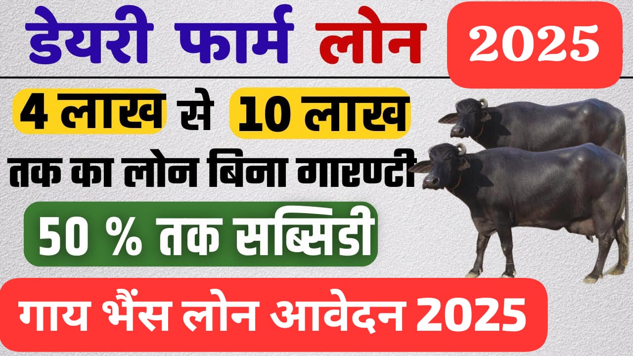 पशुपालन डेयरी लोन योजना 2025